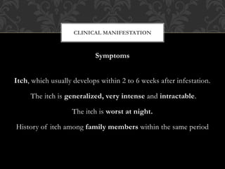 Symptoms
Itch, which usually develops within 2 to 6 weeks after infestation.
The itch is generalized, very intense and intractable.
The itch is worst at night.
History of itch among family members within the same period
CLINICAL MANIFESTATION
 