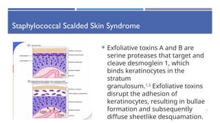 dermatological emergencies [Autosaved] [Autosaved].pptx