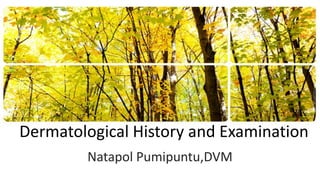 Dermatological History and Examination
        Natapol Pumipuntu,DVM
 