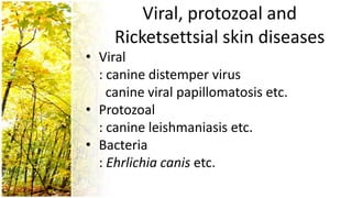 Viral, protozoal and
     Ricketsettsial skin diseases
• Viral
  : canine distemper virus
    canine viral papillomatosis etc.
• Protozoal
  : canine leishmaniasis etc.
• Bacteria
  : Ehrlichia canis etc.
 
