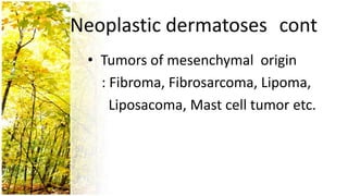 Neoplastic dermatoses cont
 • Tumors of mesenchymal origin
   : Fibroma, Fibrosarcoma, Lipoma,
     Liposacoma, Mast cell tumor etc.
 