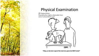 Physical Examination
 