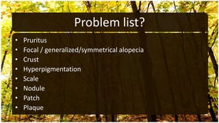 Problem list?
•   Pruritus
•   Focal / generalized/symmetrical alopecia
•   Crust
•   Hyperpigmentation
•   Scale
•   Nodule
•   Patch
•   Plaque
 