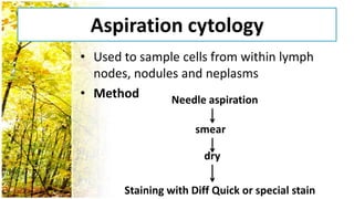 Aspiration cytology
• Used to sample cells from within lymph
  nodes, nodules and neplasms
• Method       Needle aspiration

                      smear

                        dry

       Staining with Diff Quick or special stain
 