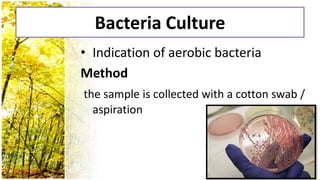 Bacteria Culture
• Indication of aerobic bacteria
Method
the sample is collected with a cotton swab /
  aspiration
 