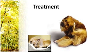 Treatment
•
    -
    -
    -
 