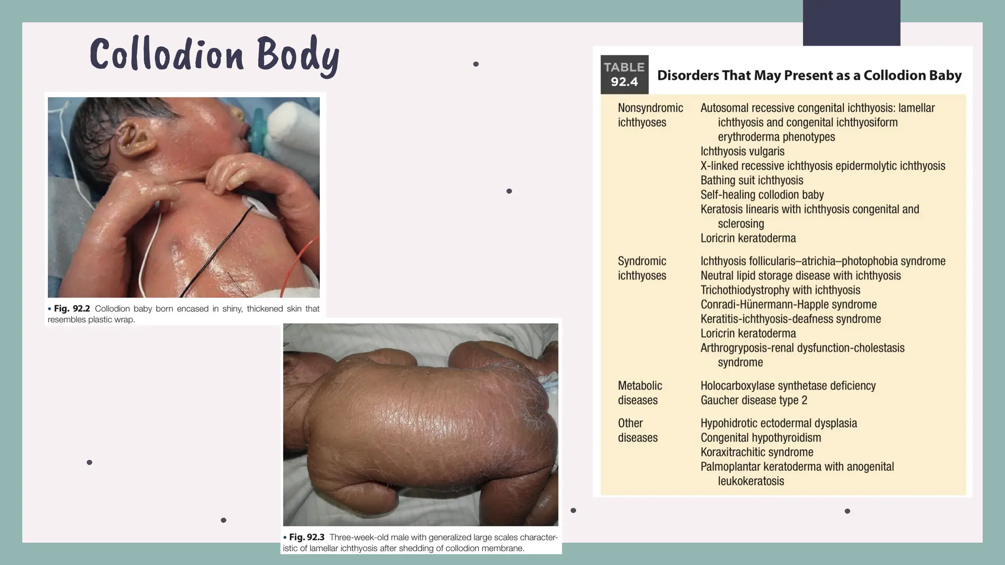 Dermatologic condition NB from NKP hospital PPT