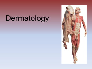 Dermatology 