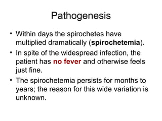 Pathogenesis
• Within days the spirochetes have
multiplied dramatically (spirochetemia).
• In spite of the widespread infection, the
patient has no fever and otherwise feels
just fine.
• The spirochetemia persists for months to
years; the reason for this wide variation is
unknown.
 