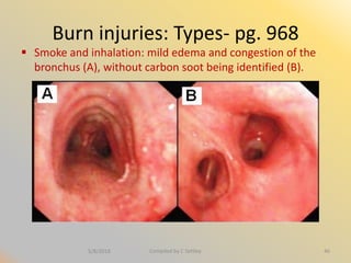 Dermatology | PDF