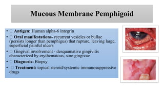 Mucous Membrane Pemphigoid
• Antigen: Human alpha-6 integrin
• Oral manifestations- recurrent vesicles or bullae
(persists longer than pemphigus) that rupture, leaving large,
superficial painful ulcers
• Gingival involvement - desquamative gingivitis
characterized by erythematous, sore gingivae
• Diagnosis: Biopsy
• Treatment: topical steroid/systemic immunosuppressive
drugs
 