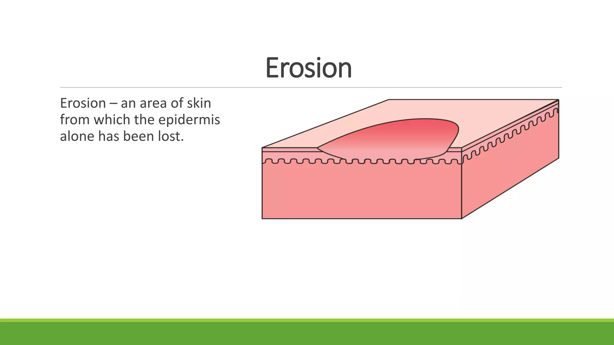 Introduction to Dermatology | PDF