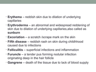 Comprehensive Overview of Dermatology: Skin Structure, Functions, and ...
