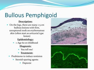 Pemphoid Rash Legs Comprehensive Dermatology: Diagnosis and Management of Skin Lesions and ...
