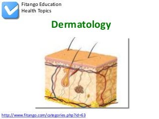 Fitango Education
          Health Topics

                         Dermatology




http://www.fitango.com/categories.php?id=63
 