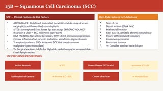 Comprehensive Dermatology Exam Guide Covering Lesions, Infections, and ...