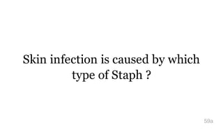 Skin infection is caused by which
type of Staph ?
59a
 