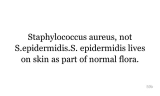 Staphylococcus aureus, not
S.epidermidis.S. epidermidis lives
on skin as part of normal flora.
59b
 