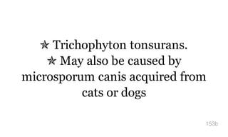 ✯ Trichophyton tonsurans.
✯ May also be caused by
microsporum canis acquired from
cats or dogs
153b
 