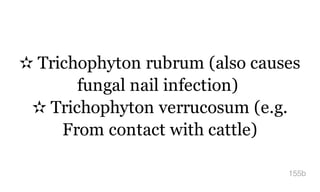 ✫ Trichophyton rubrum (also causes
fungal nail infection)
✫ Trichophyton verrucosum (e.g.
From contact with cattle)
155b
 