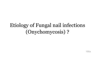 Etiology of Fungal nail infections
(Onychomycosis) ?
166a
 