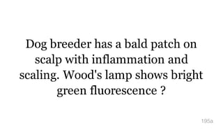 Dog breeder has a bald patch on
scalp with inflammation and
scaling. Wood's lamp shows bright
green fluorescence ?
195a
 