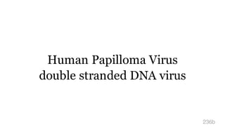 Human Papilloma Virus
double stranded DNA virus
236b
 