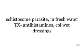 schistosome parasite, in fresh water
TX- antihistamines, col wet
dressings
247b
 