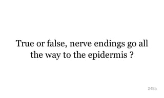 True or false, nerve endings go all
the way to the epidermis ?
248a
 