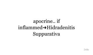 apocrine.. if
inflammed➜Hidradenitis
Suppurativa
249b
 