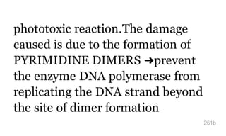 phototoxic reaction.The damage
caused is due to the formation of
PYRIMIDINE DIMERS ➜prevent
the enzyme DNA polymerase from
replicating the DNA strand beyond
the site of dimer formation
261b
 