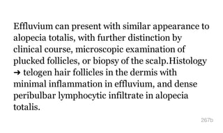 Effluvium can present with similar appearance to
alopecia totalis, with further distinction by
clinical course, microscopic examination of
plucked follicles, or biopsy of the scalp.Histology
➜ telogen hair follicles in the dermis with
minimal inflammation in effluvium, and dense
peribulbar lymphocytic infiltrate in alopecia
totalis.
267b
 