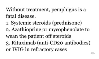 Without treatment, pemphigus is a
fatal disease.
1. Systemic steroids (prednisone)
2. Azathioprine or mycophenolate to
wean the patient off steroids
3. Rituximab (anti-CD20 antibodies)
or IVIG in refractory cases
42b
 
