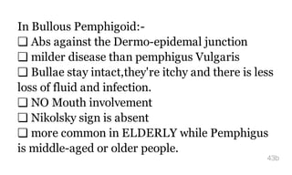In Bullous Pemphigoid:-
❏ Abs against the Dermo-epidemal junction
❏ milder disease than pemphigus Vulgaris
❏ Bullae stay intact,they're itchy and there is less
loss of fluid and infection.
❏ NO Mouth involvement
❏ Nikolsky sign is absent
❏ more common in ELDERLY while Pemphigus
is middle-aged or older people.
43b
 
