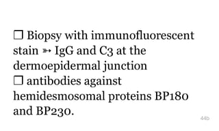 ❐ Biopsy with immunofluorescent
stain ➳ IgG and C3 at the
dermoepidermal junction
❐ antibodies against
hemidesmosomal proteins BP180
and BP230. 44b
 