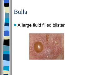 Dermatology in general | PPT
