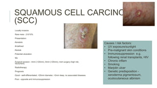 Dermatology LUPALS.pptx