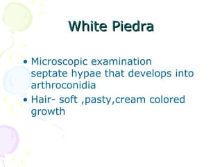 White PiedraWhite Piedra
• Microscopic examination
septate hypae that develops into
arthroconidia
• Hair- soft ,pasty,cream colored
growth
 