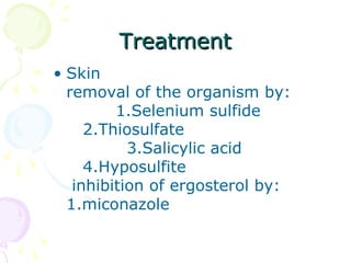 TreatmentTreatment
• Skin
removal of the organism by:
1.Selenium sulfide
2.Thiosulfate
3.Salicylic acid
4.Hyposulfite
inhibition of ergosterol by:
1.miconazole
 
