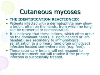 Cutaneous mycosesCutaneous mycoses
• THE IDENTIFICATION REACTION(ID)
• Patients infected with a dermatophyte may show
a lesion, often on the hands, from which no fungi
can be recovered or demonstrated.
• It is believed that these lesions, which often occur
on the dominant hand (i.e. right-handed or left-
handed), are secondary to immunological
sensitization to a primary (and often unnoticed)
infection located somewhere else (e.g. feet).
• These secondary lesions will not respond to
topical treatment but will resolve if the primary
infection is successfully treated.
 