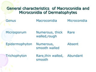 General characteristics of Macroconidia andGeneral characteristics of Macroconidia and
Microconidia of DermatophytesMicroconidia of Dermatophytes
Genus Macroconidia Microconidia
Microsporum Numerous, thick
walled,rough
Rare
Epidermophyton Numerous,
smooth walled
Absent
Trichophyton Rare,thin walled,
smooth
Abundant
 
