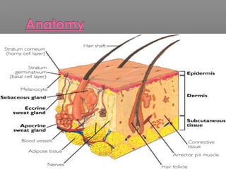 Dermatology | PPT