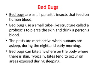 Bed Bugs
• Bed bugs are small parasitic insects that feed on
human blood.
• Bed bugs use a small tube-like structure called a
proboscis to pierce the skin and drink a person’s
blood.
• The pests are most active when humans are
asleep, during the night and early morning.
• Bed bugs can bite anywhere on the body where
there is skin. Typically, bites tend to occur on
areas exposed during sleeping.
 