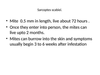 Sarcoptes scabiei.
• Mite 0.5 mm in length, live about 72 hours .
• Once they enter into person, the mites can
live upto 2 months.
• Mites can burrow into the skin and symptoms
usually begin 3 to 6 weeks after infestation
 