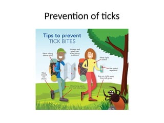 Prevention of ticks
 