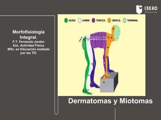 Dermatomas y Miotomas
Morfofisiología
Integral.
F.T. Fernando Jordan
Esc. Actividad Física
MSc. en Educación mediada
por las TIC
 
