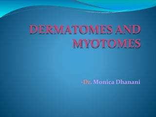 DERMATOMES AND
MYOTOMES
-Dr. Monica Dhanani
 