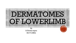 DERMATOMES
OF LOWERLIMB
By
S.Christy sopna
M.P.T (OBG)
 