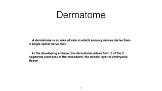 Dermatome
A dermatome is an area of skin in which sensory nerves derive from
a single spinal nerve root.
In the developing embryo, the dermatome arises from 1 of the 3
segments (somites) of the mesoderm, the middle layer of embryonic
tissue

3

 