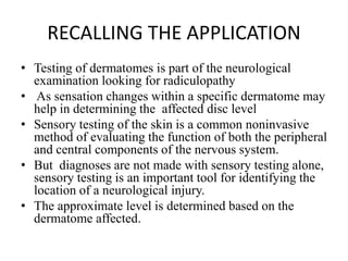 Dermatomes (2) | PPTX